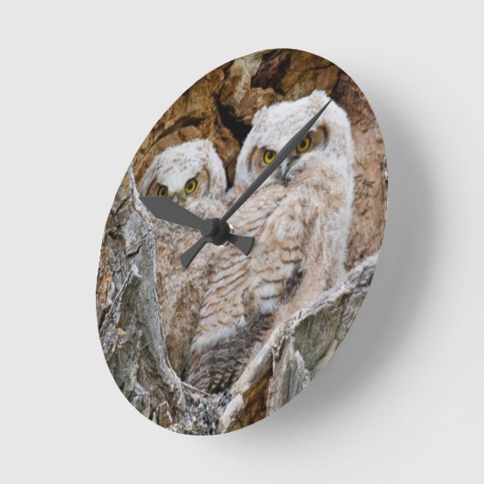 米国、ワイオミングのTetonの壮大な国立公園2 ラウンド壁時計 (傾斜)