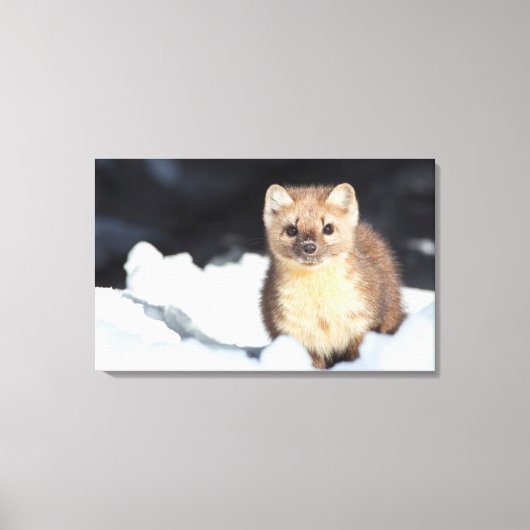 米国、ワイオミングイエローストーン国立公園 キャンバスプリント (正面)