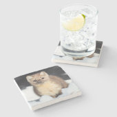 米国、ワイオミングイエローストーン国立公園 ストーンコースター (横)