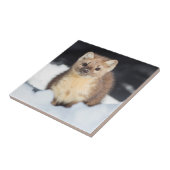 米国、ワイオミングイエローストーン国立公園 タイル (側面)