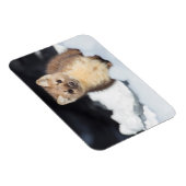 米国、ワイオミングイエローストーン国立公園 マグネット (右側)