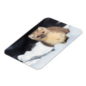 米国、ワイオミングイエローストーン国立公園 マグネット (左側)