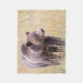 米国、ワイオミング、イエローストーン国立公園、グリズリー3 フリースブランケット (正面)