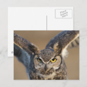 米国，ワイオミング ポストカード (正面/裏面)