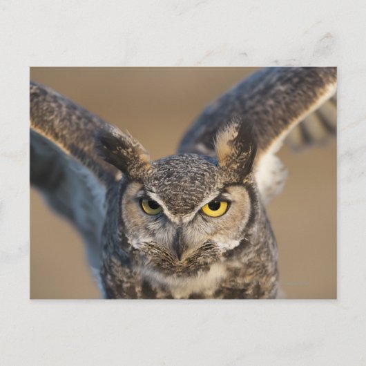 米国，ワイオミング ポストカード (正面)