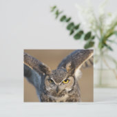 米国，ワイオミング ポストカード (スタンド正面)