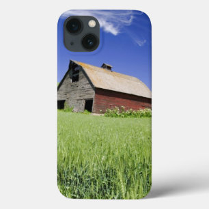 米国、ワシントン州の春の古く赤い納屋 iPhone 13ケース