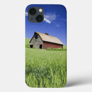 米国、ワシントン州の春の古く赤い納屋 iPhone 13ケース