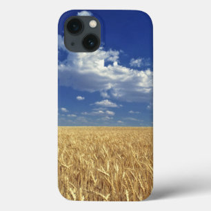 米国、ワシントン州、コルファックス。熟した小麦 iPhone 13ケース