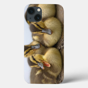 米国、ワシントン州、シアトルの湖ワシントン州 iPhone 13ケース