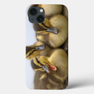 米国、ワシントン州、シアトルの湖ワシントン州 iPhone 13ケース