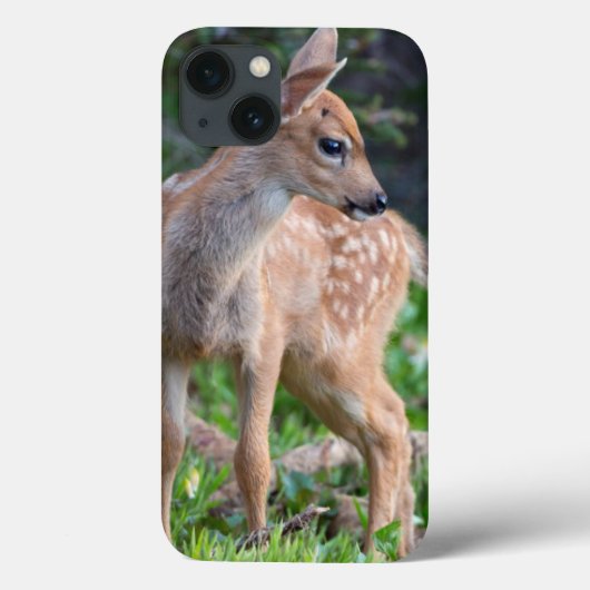 米国、ワシントン州。 Blacktailシカの子鹿 Case-Mate iPhoneケース (裏面)