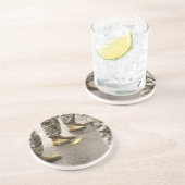 米国、ワシントン州、Issaquah、サーモンピンク日 コースター (側面)