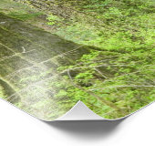 米国,ワシントン,オリンピック国立公園内春3 フォトプリント (角)