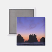 米国、ワシントン、オリンピック国立公園市市 マグネット (正面/裏面)