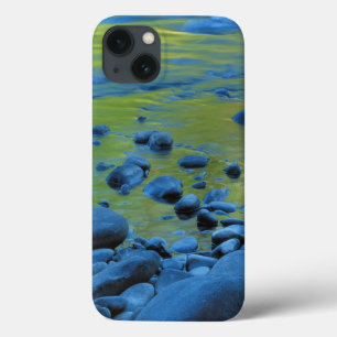 米国、ワシントン、オリンピック国立公園4 iPhone 13ケース