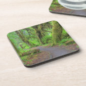 米国、ワシントン、オリンピック国立公園、ホーレイン コースター (左側)