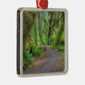 米国、ワシントン、オリンピック国立公園、ホー2 メタルオーナメント (右)