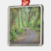 米国、ワシントン、オリンピック国立公園、ホー2 メタルオーナメント (左)