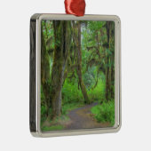 米国、ワシントン、オリンピック国立公園、ホー メタルオーナメント (右)