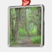 米国、ワシントン、オリンピック国立公園、ホー メタルオーナメント (左)