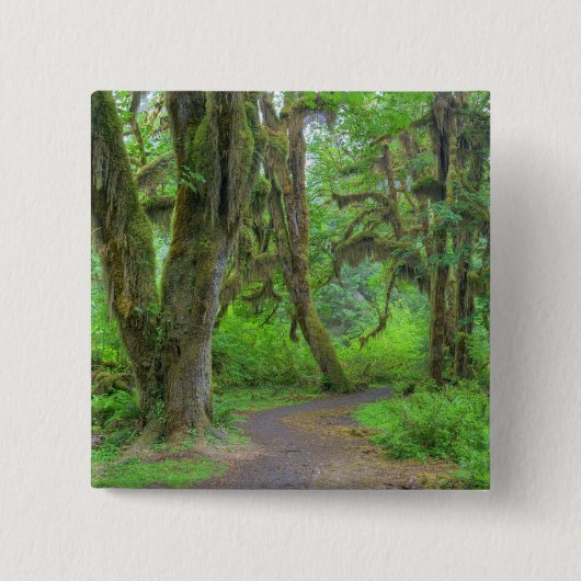 米国、ワシントン、オリンピック国立公園、ホー 缶バッジ (正面)