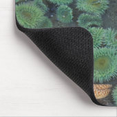 米国,ワシントン,オリンピック国立公園 マウスパッド (コーナー)