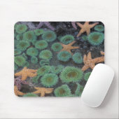 米国,ワシントン,オリンピック国立公園 マウスパッド (マウス)