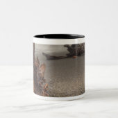 米国、ワシントン、オリンピック国立公園、リアルト2 ツートーンマグカップ (中央)