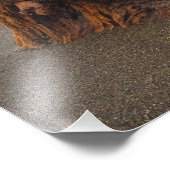 米国,ワシントン,オリンピック国立公園,リアルト2 フォトプリント (角)