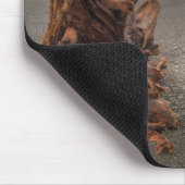 米国、ワシントン、オリンピック国立公園、リアルト2 マウスパッド (コーナー)