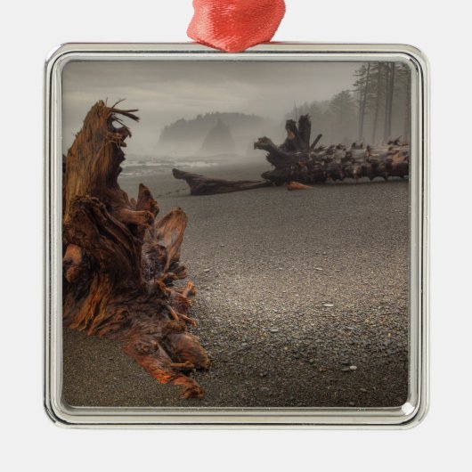 米国、ワシントン、オリンピック国立公園、リアルト2 メタルオーナメント (正面)