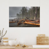 米国、ワシントン、オリンピック国立公園、リアルト ポスター (キッチン)