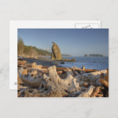 米国、ワシントン、オリンピック国立公園、リアルト ポストカード (正面/裏面)