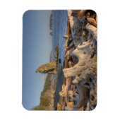 米国、ワシントン、オリンピック国立公園、リアルト マグネット (縦)