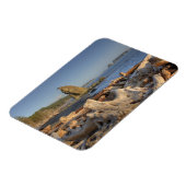 米国、ワシントン、オリンピック国立公園、リアルト マグネット (左側)