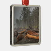 米国、ワシントン、オリンピック国立公園、リアルト メタルオーナメント (右)