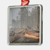 米国、ワシントン、オリンピック国立公園、リアルト メタルオーナメント (左)