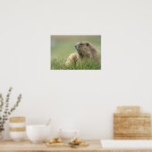 米国、ワシントン、オリンピックNP、オリンピック・マルモト ポスター (キッチン)