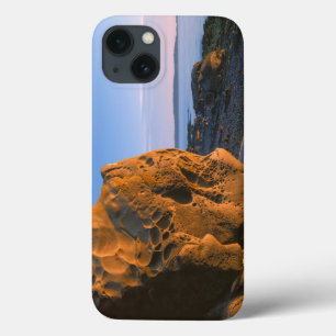 米国,ワシントン,オルカス島,大きい石 iPhone 13ケース