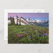 米国、ワシントン、カスケード山脈、北 ポストカード (正面/裏面)