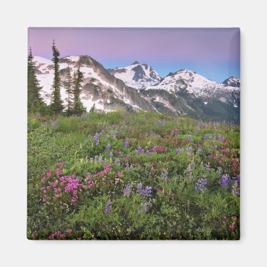 米国、ワシントン、カスケード山脈、北 マグネット (正面)