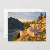 米国、ワシントン、カスケード範囲4 ポストカード (正面/裏面)