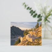 米国、ワシントン、カスケード範囲4 ポストカード (スタンド正面)