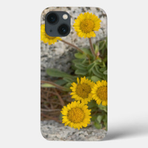 米国、ワシントン、カスケード範囲5 iPhone 13ケース