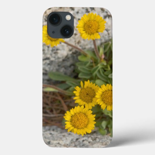 米国、ワシントン、カスケード範囲5 Case-Mate iPhoneケース (裏面)