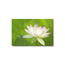 米国、ワシントン、ケニワース水中競技