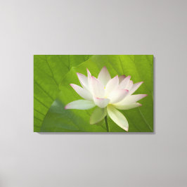 米国、ワシントン、ケニワース水中競技 キャンバスプリント