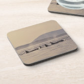 米国、ワシントン、サンフアン諸島オルカ コースター (左側)