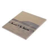 米国、ワシントン、サンフアン諸島オルカ タイル (側面)